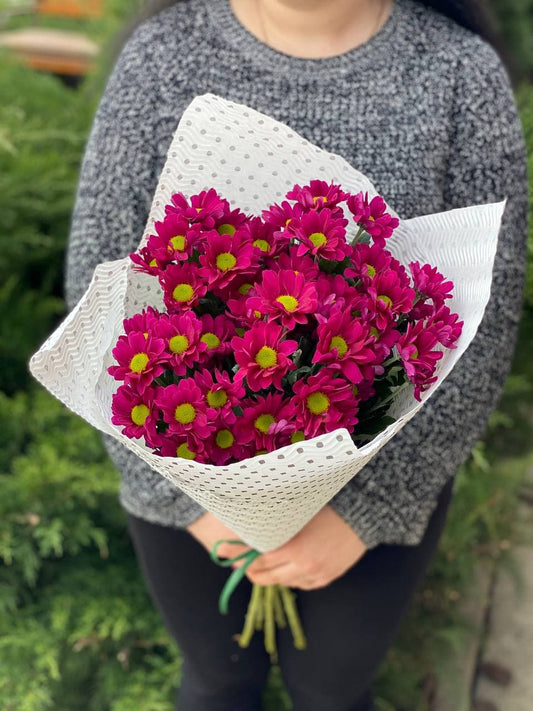 5 daisy-like chrysanthemums (color Purple)