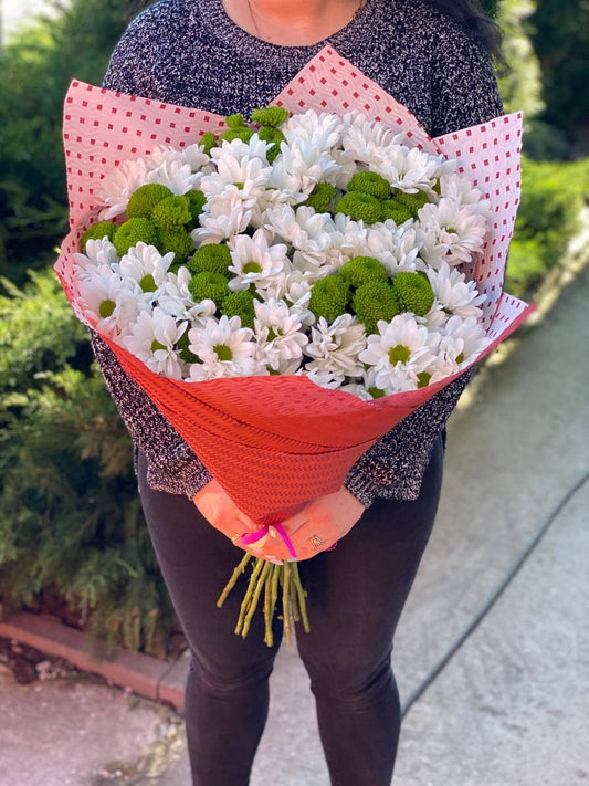 15 daisy-like chrysanthemums (color White)