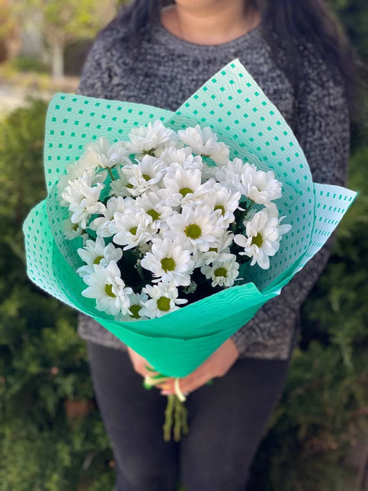 5 daisy-like chrysanthemums (color White)