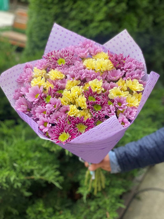 19 chrysanthemums (Yellow, Pink and Purple)