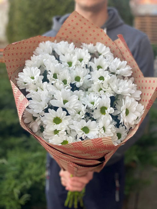5 daisy-like chrysanthemums (color White)